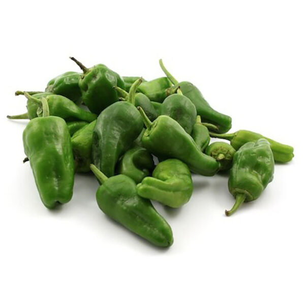 Pimiento de padrón