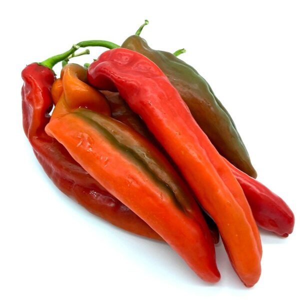 Pimiento italiano rojo