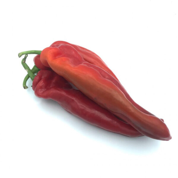 Pimiento italiano rojo - Imagen 2