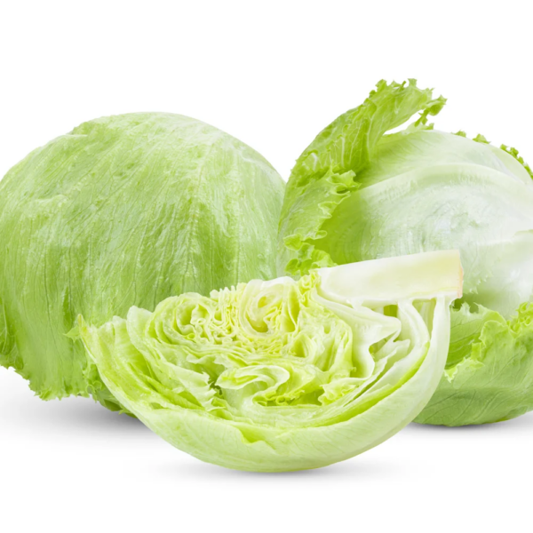 Lechuga Iceberg - Imagen 2