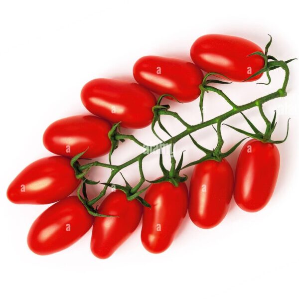 Tomate cherry san manzano - Imagen 2