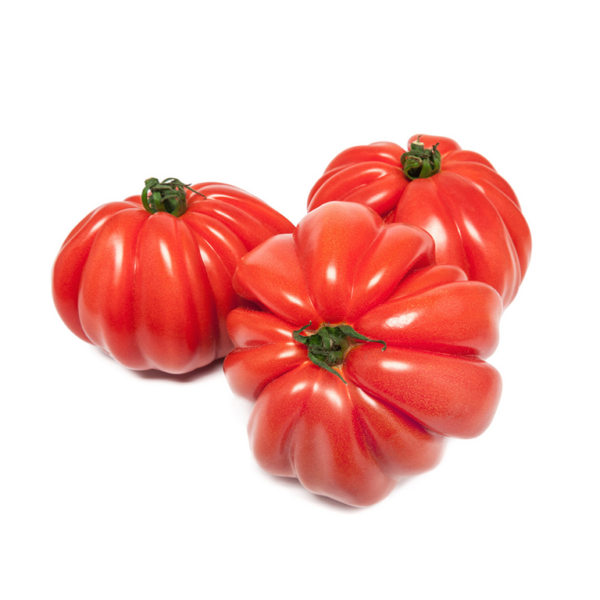 Tomate corazon de buey - Imagen 2