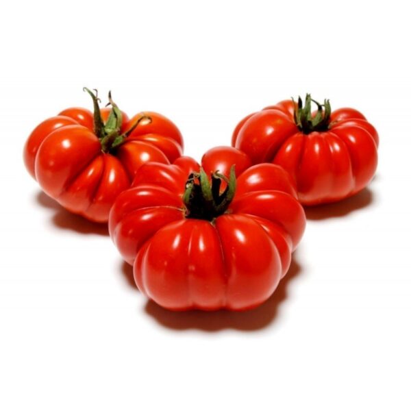 Tomate costoluto